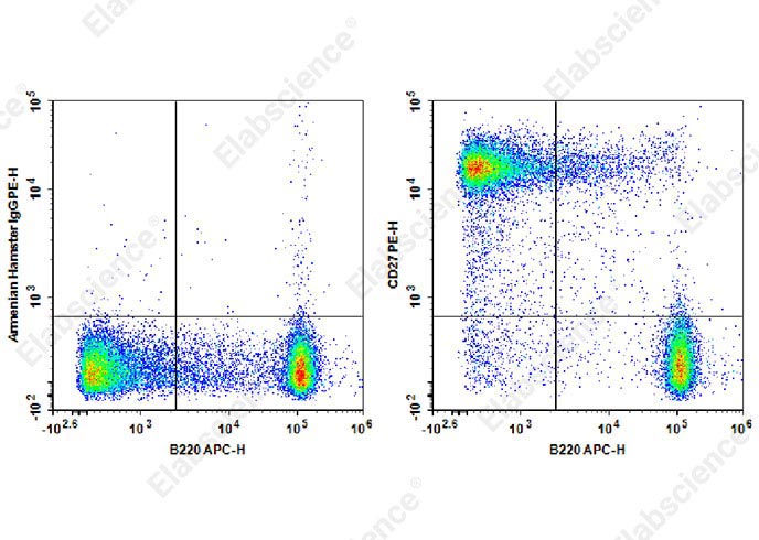 PE Anti-Mouse CD27 Antibody[LG.3A10]-1
