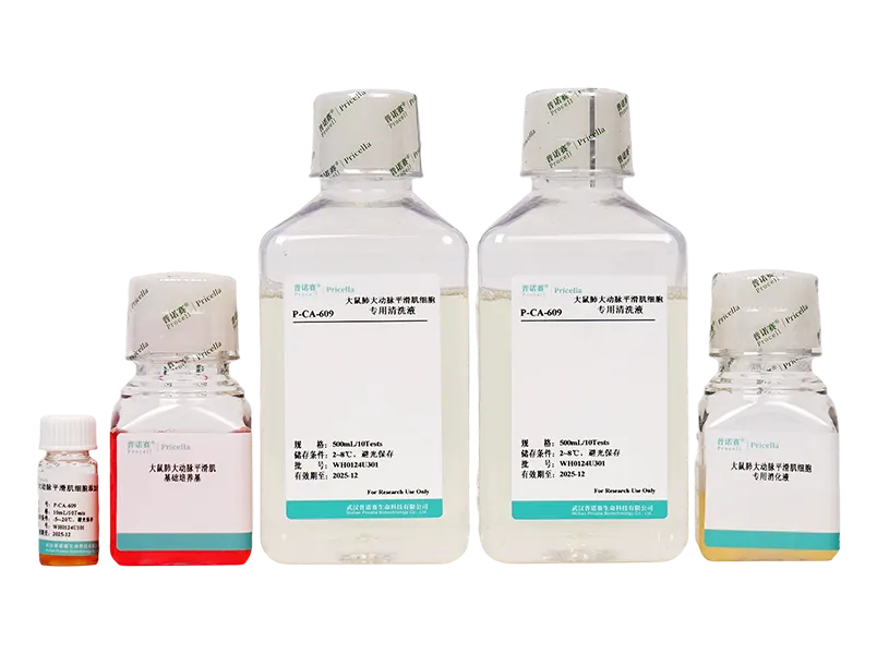 https://789.bio/ec/DVaeSR