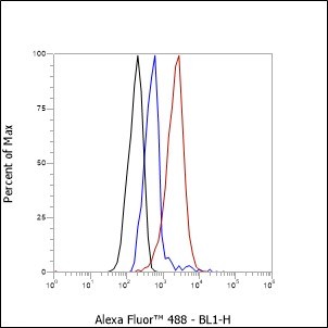 Recombinant WWOX Monoclonal Antibody - small - 7