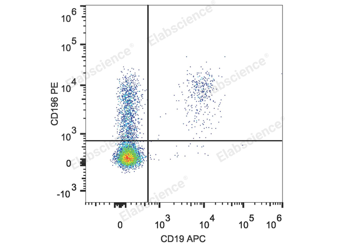 Human peripheral blood lymphocytes are stained with PE Anti-Human CD196/CCR6 Antibody and APC Anti-Human CD19 Antibody.