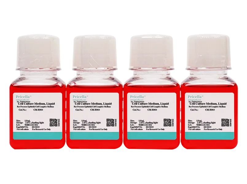 Rat Prostate Epithelial Cell Complete Medium - 4