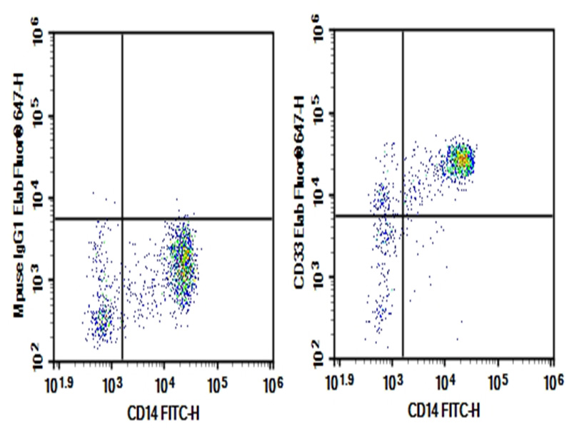 Purified Anti-Human CD33 Antibody[6C5]-1