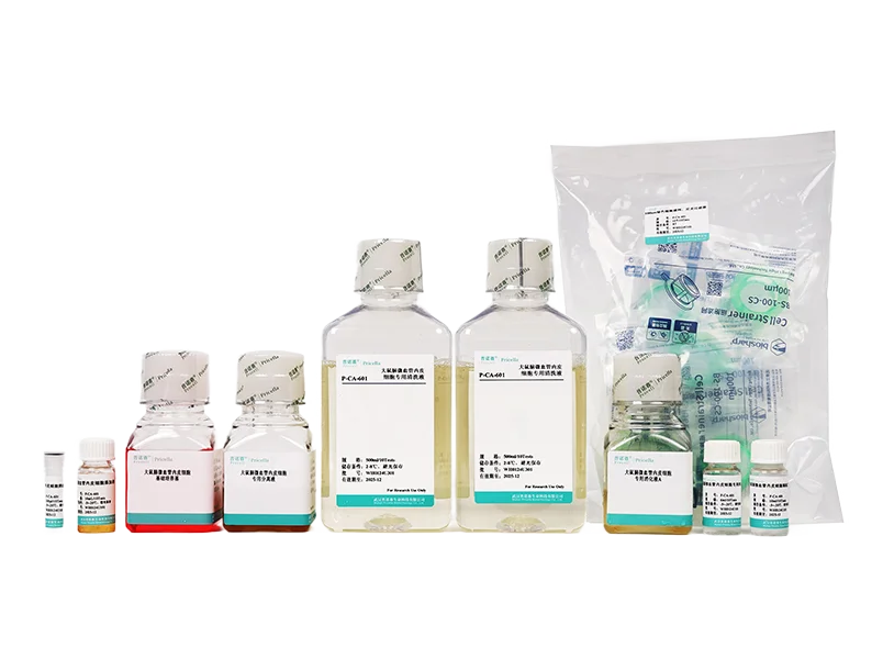 https://789.bio/ec/DZuy10