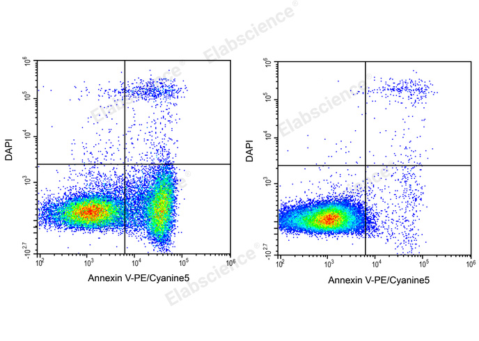Annexin V-PE/Cyanine5/DAPI Apoptosis Kit-1