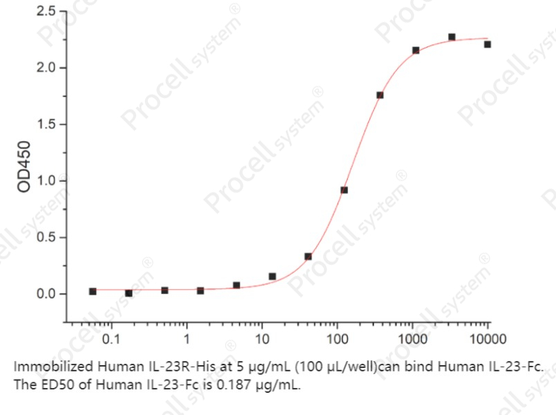 IL-23R (C-6His), Human, RecombinantIL-23R (C-6His), Human, Recombinant - 2