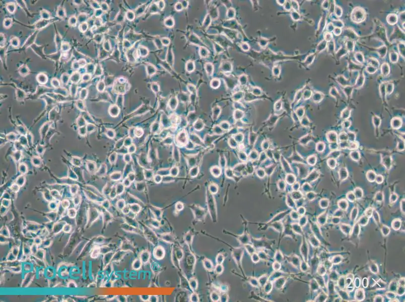 MADB106 Cell Complete Medium - small - 5