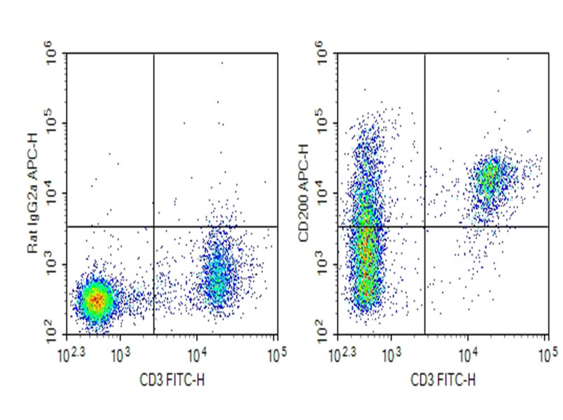 AF/LE Purified Anti-Mouse CD200 Antibody[OX-90] - 1