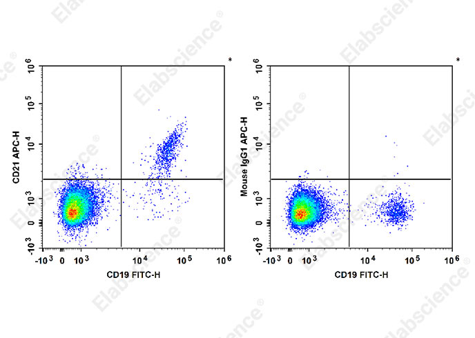 Purified Anti-Human CD57 Antibody[HNK-1]-产品推荐-1