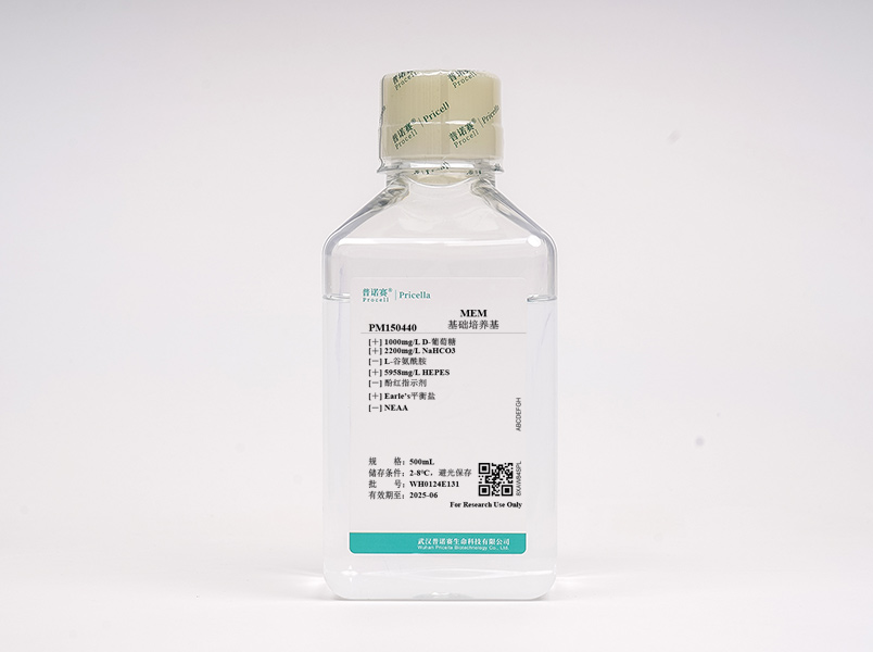https://789.bio/ec/DlSGx5