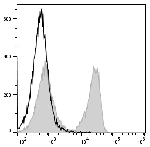 C57BL/6 murine splenocytes are stained with FITC Anti-Mouse CD3 Antibody (filled gray histogram). Unstained splenocytes (empty black histogram) are used as control.