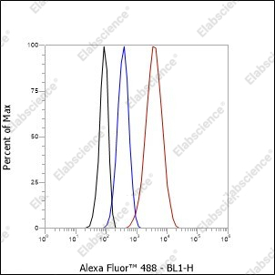 Recombinant CCR7 Monoclonal Antibody - 3