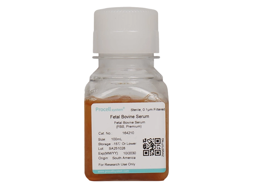 Fetal Bovine Serum