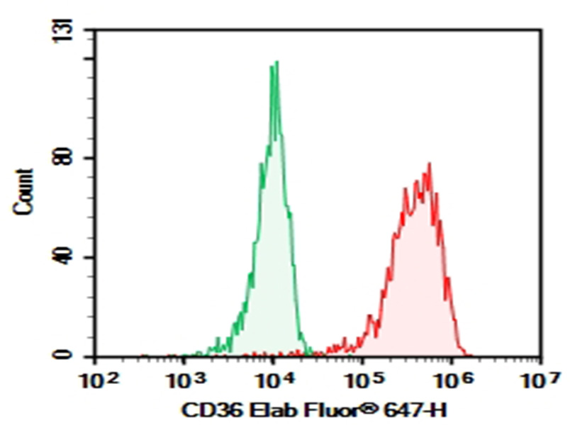 Purified Anti-Human CD36 Antibody[5-271]-1