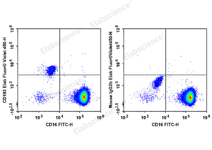 Human peripheral blood granulocytes are stained with FITC Anti-Human CD16 Antibody and Elab Fluor® Violet 450 Anti-Human CD193/CCR3 Antibody (Left). Granulocytes are stained with FITC Anti-Human CD16 Antibody and Elab Fluor® Violet 450 Mouse IgG2b,κ Isotype Control (Right).