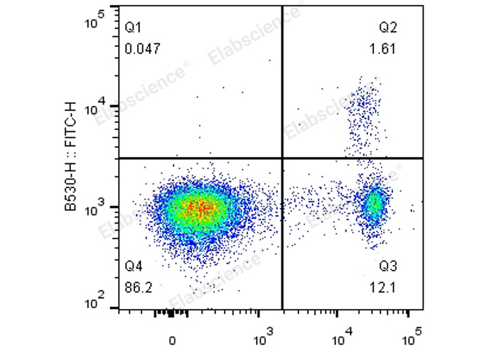 C57BL/6 splenocytes are surface stained with APC Anti-Mouse CD4 Monoclonal Antibody followed by fixation and permeabilization using the Foxp3 Staining/Transcription Factor Buffer Set and intracellular staining with FITC Anti-Mouse Foxp3 Monoclonal Antibody.