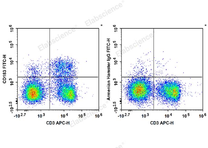 C57BL/6 murine splenocytes are stained with APC Anti-Mouse CD3 Antibody and FITC Anti-Mouse CD183/CXCR3 Antibody (Left). Splenocytes are stained with APC Anti-Mouse CD3 Antibody and FITC Armenian Hamster IgG Isotype Control (Right).