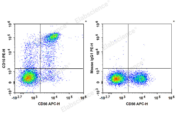 Human peripheral blood lymphocytes are stained with APC Anti-Human CD56 Antibody and PE Anti-Human CD16 Antibody (Left). Lymphocytes are stained with APC Anti-Human CD56 Antibody and PE Mouse IgG1, κ Isotype Control (Right).