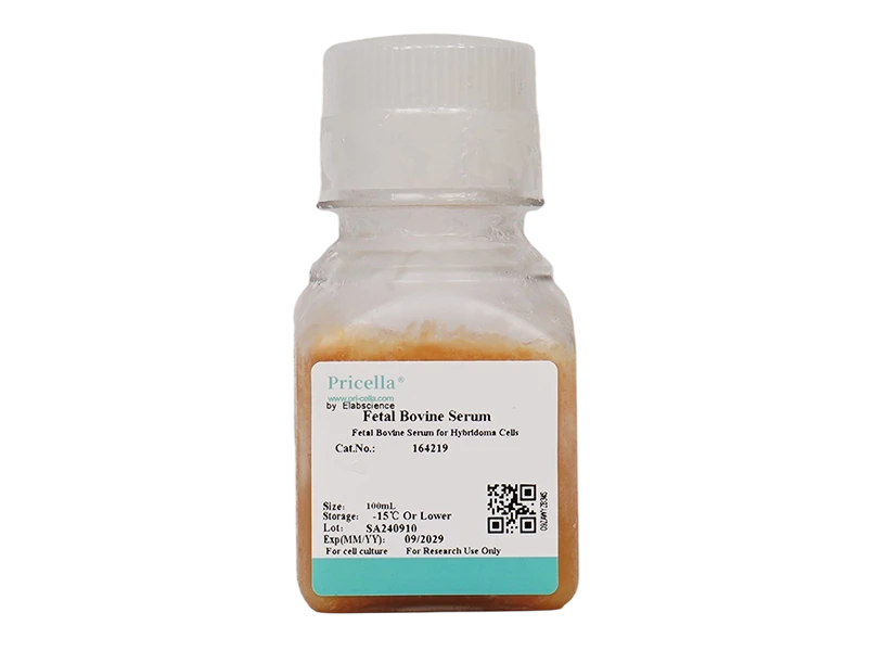 Fetal Bovine Serum for Hybridoma Cells