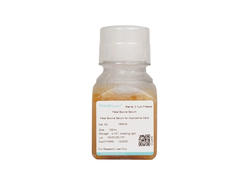 Fetal Bovine Serum for Hybridoma Cells