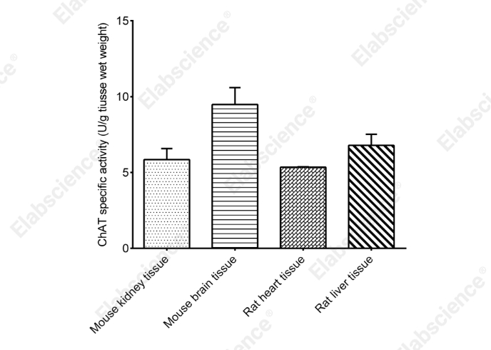 Choline Acetyltransferase (ChAT) Activity Assay Kit (Tissue Samples) - 1