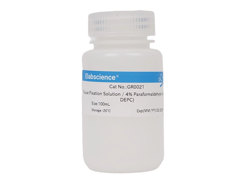 Tissue Fixation Solution / 4% Paraformaldehyde (with DEPC)