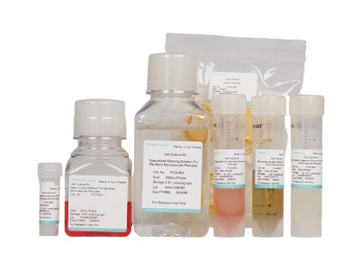 Rat Brain Microvascular Pericyte Isolation and Culture Kit