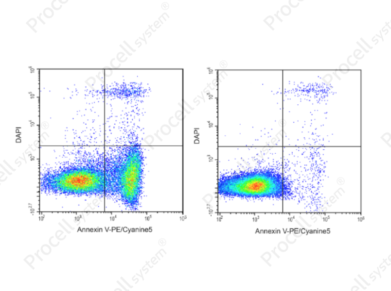 Annexin V-PE/Cyanine5/DAPI Apoptosis Kit