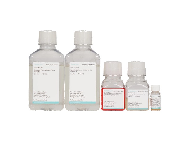 Rat Pulmonary Great Artery Smooth Muscle Cell Isolation and Culture KitRat Pulmonary Great Artery Smooth Muscle Cell Isolation and Culture Kit - 2