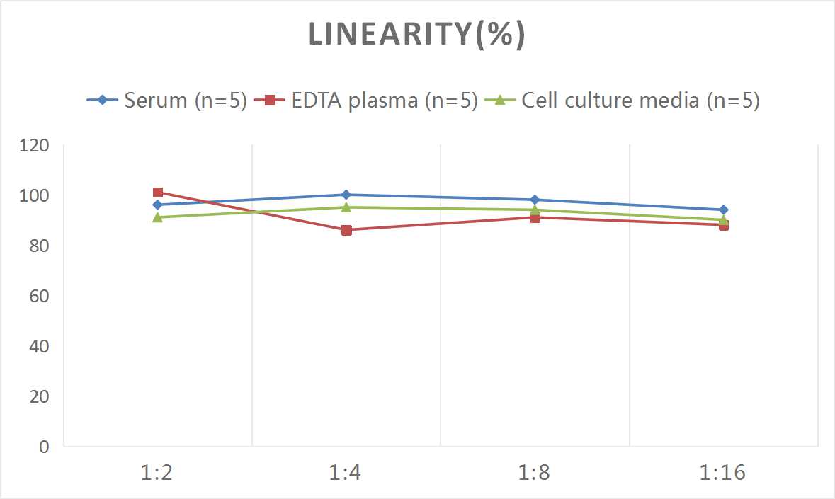 High Sensitivity Mouse IL-1β(Interleukin 1 Beta) ELISA Kit-产品推荐-8
