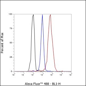 Recombinant FASN Monoclonal Antibody - small - 6