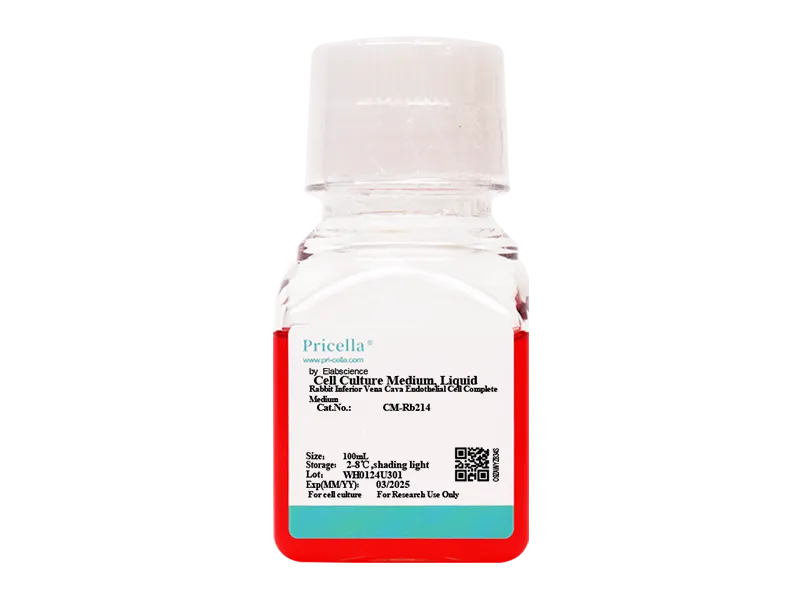 Rabbit Inferior Vena Cava Endothelial Cell Complete Medium-searchlist-1