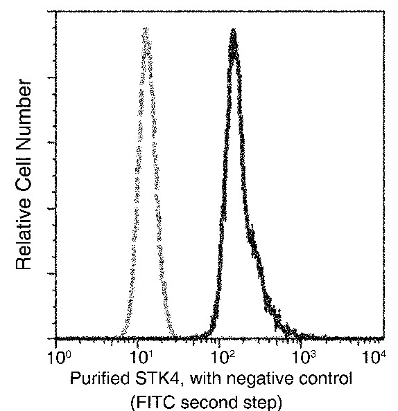 STK4/MST1 Monoclonal Antibody - small - 2