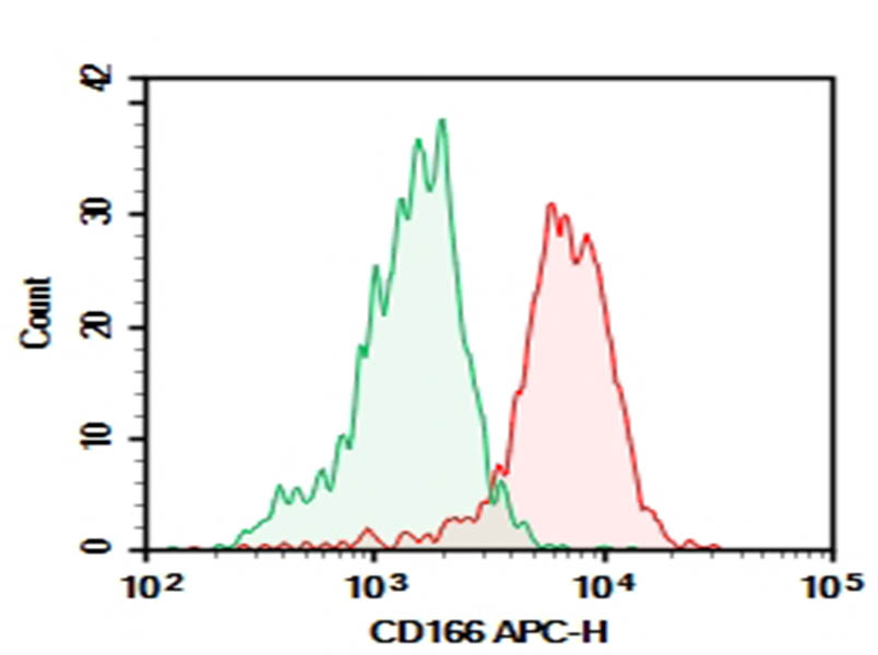 AF/LE Purified Anti-Human CD166 Antibody[3A6] - 1