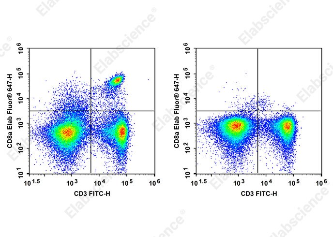 Elab Fluor® 647 Anti-Mouse CD8a Antibody[YTS169.4]-1