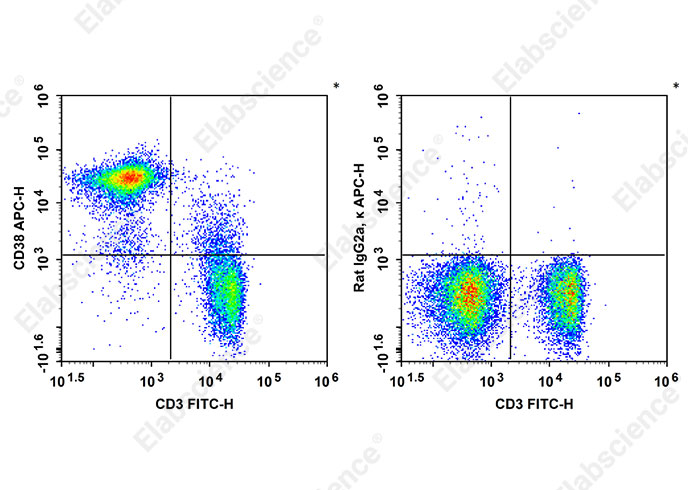 APC Anti-Mouse CD38 Antibody[90]-searchlist-1