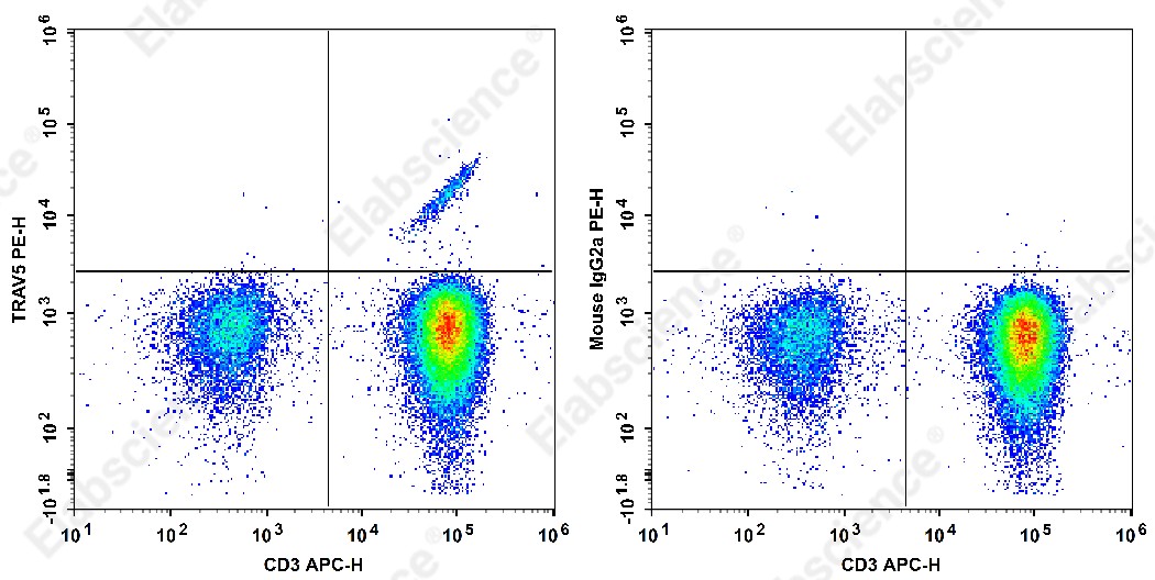 PE Anti-Human TRAV5 Antibody[MH3-2] - 1