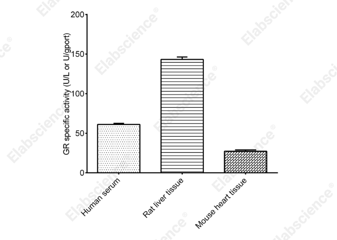 Glutathione Reductase (GR) Activity Assay Kit - 1
