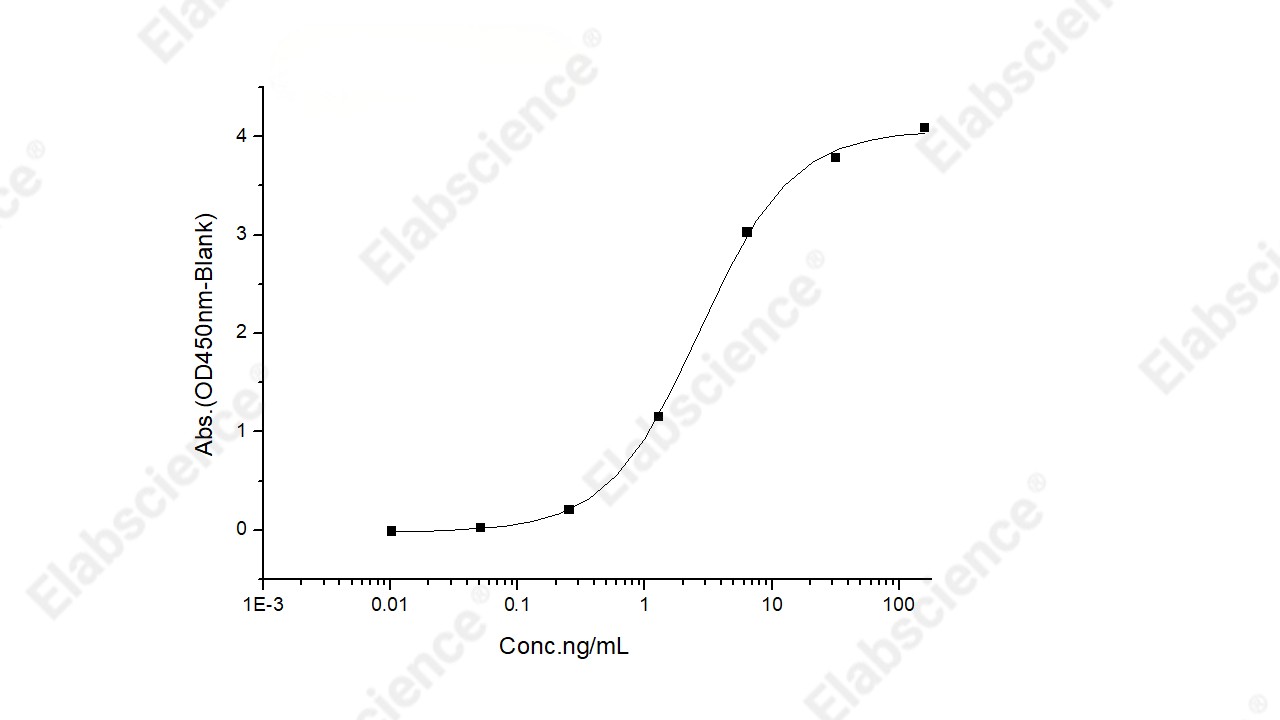 Recombinant Human IL13RA2/CD213A2 Protein (His Tag) - 2