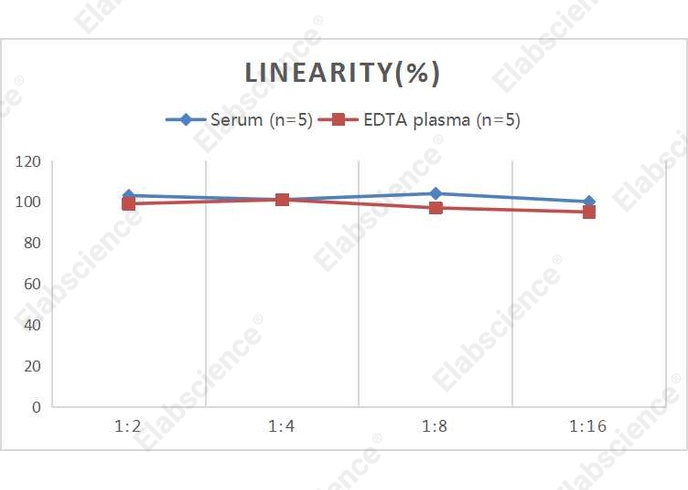 QuicKey Pro Human IL-5 (Interleukin 5) ELISA Kit - 2