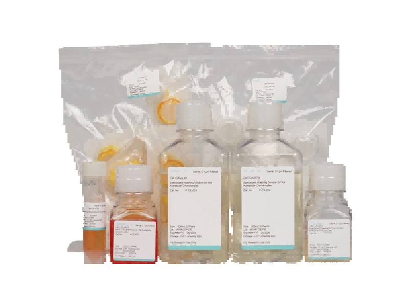 Rat Acetabular Chondrocyte Isolation and Culture KitRat Acetabular Chondrocyte Isolation and Culture Kit - 2