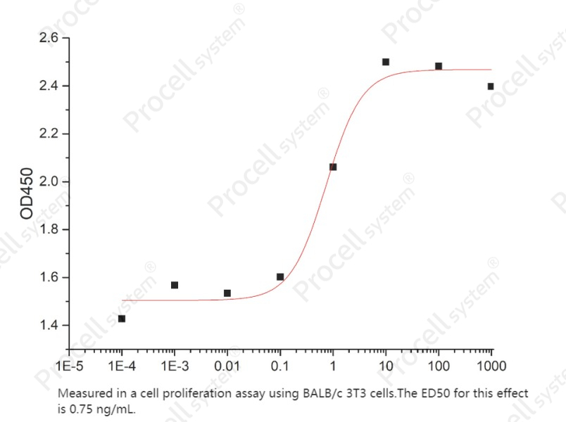 FGF-2/bFGF/FGF-b (K128N), Human, RecombinantFGF-2/bFGF/FGF-b (K128N), Human, Recombinant - 2