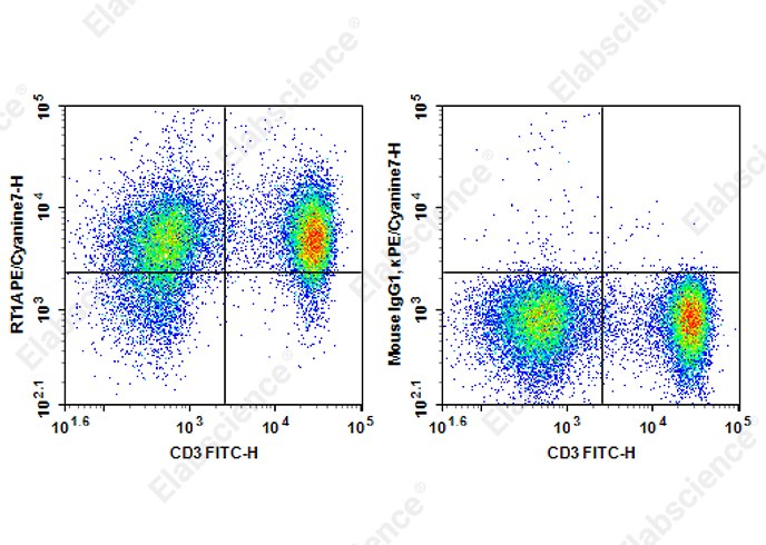 Staining of Rat splenocytes cells with FITC Anti-Human CD3 Antibody and PE/Cyanine7 Anti-Rat RT1A Antibody[OX-18] (left) or PE/Cyanine7 Mouse IgG1, &kappa; Isotype Control (right). Total viable cells were used for analysis.
