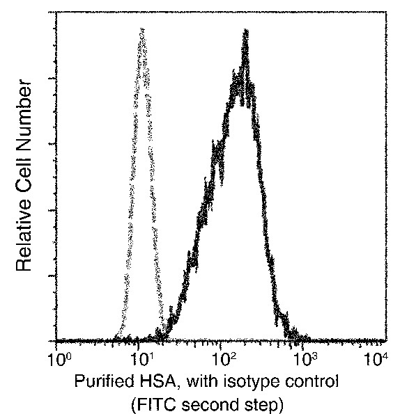 Recombinant Human Serum Albumin/HSA/ALB Monoclonal Antibody - small - 2