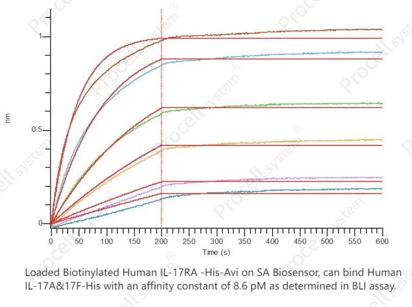 IL-17A/F (C-6His), Human, RecombinantIL-17A/F (C-6His), Human, Recombinant - 2