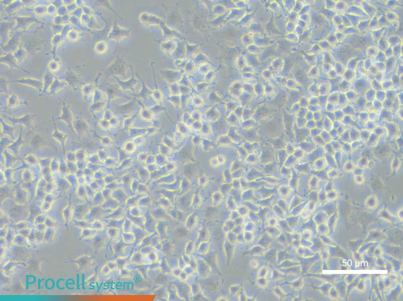 RLE-6TN Cell Complete MediumRLE-6TN Cell Complete Medium - 6
