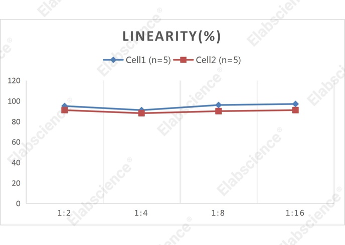 CellaQuant™ Mouse IL-10 (Interleukin 10) ELISA Kit - 2