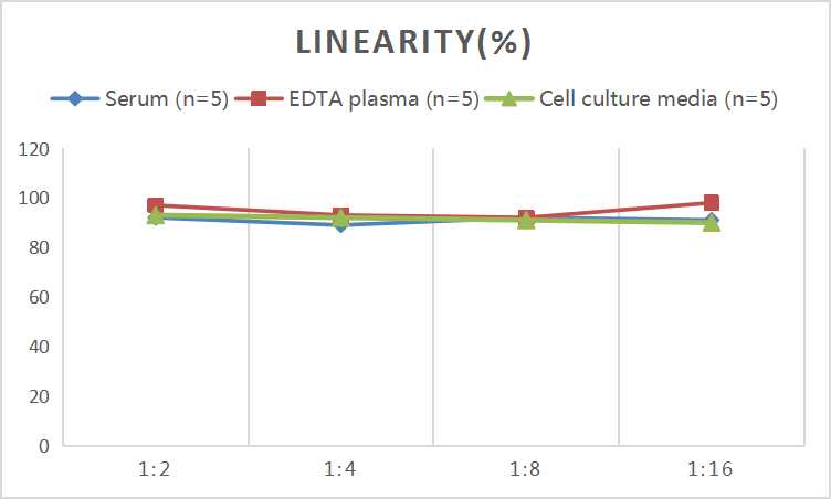 Mini Sample Human TNF-β (Tumor Necrosis Factor Beta) ELISA Kit - 2