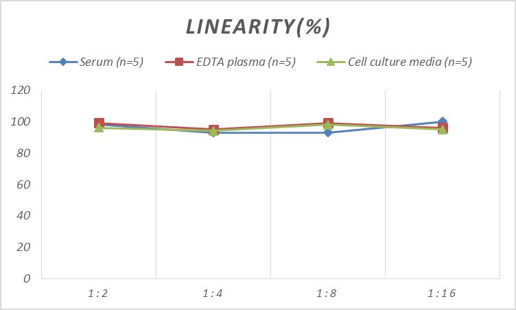 Human BMP-2(Bone Morphogenetic Protein 2) ELISA Kit-产品推荐-2