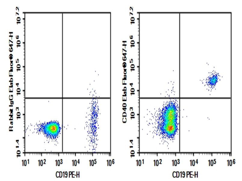 Purified Anti-Human CD40 Antibody[5D12]-searchlist-1