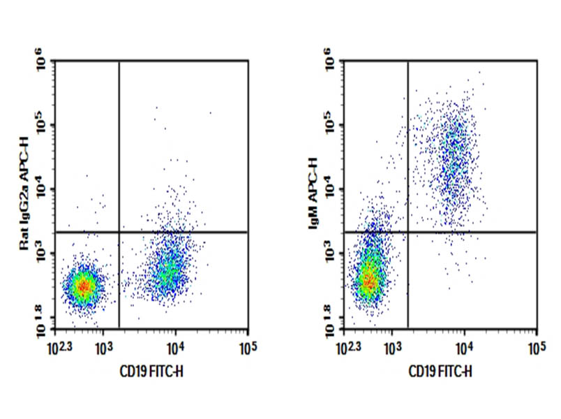 Purified Anti-Mouse IgM Antibody[RMM-1]-searchlist-1
